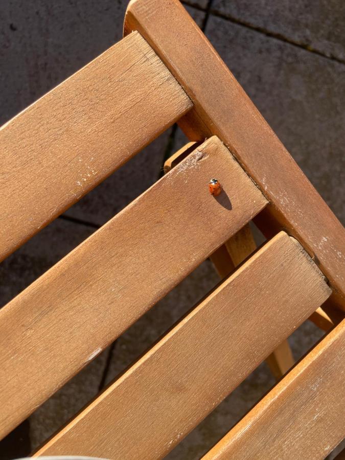 Duplex 6 Plazas Para Desconectar De La Rutina Oliana Экстерьер фото